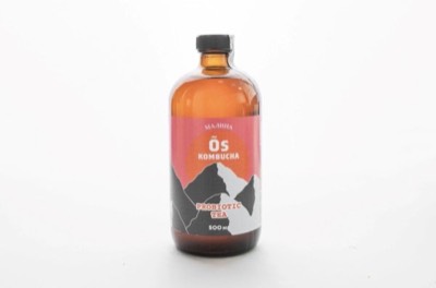 Комбуча 0,5